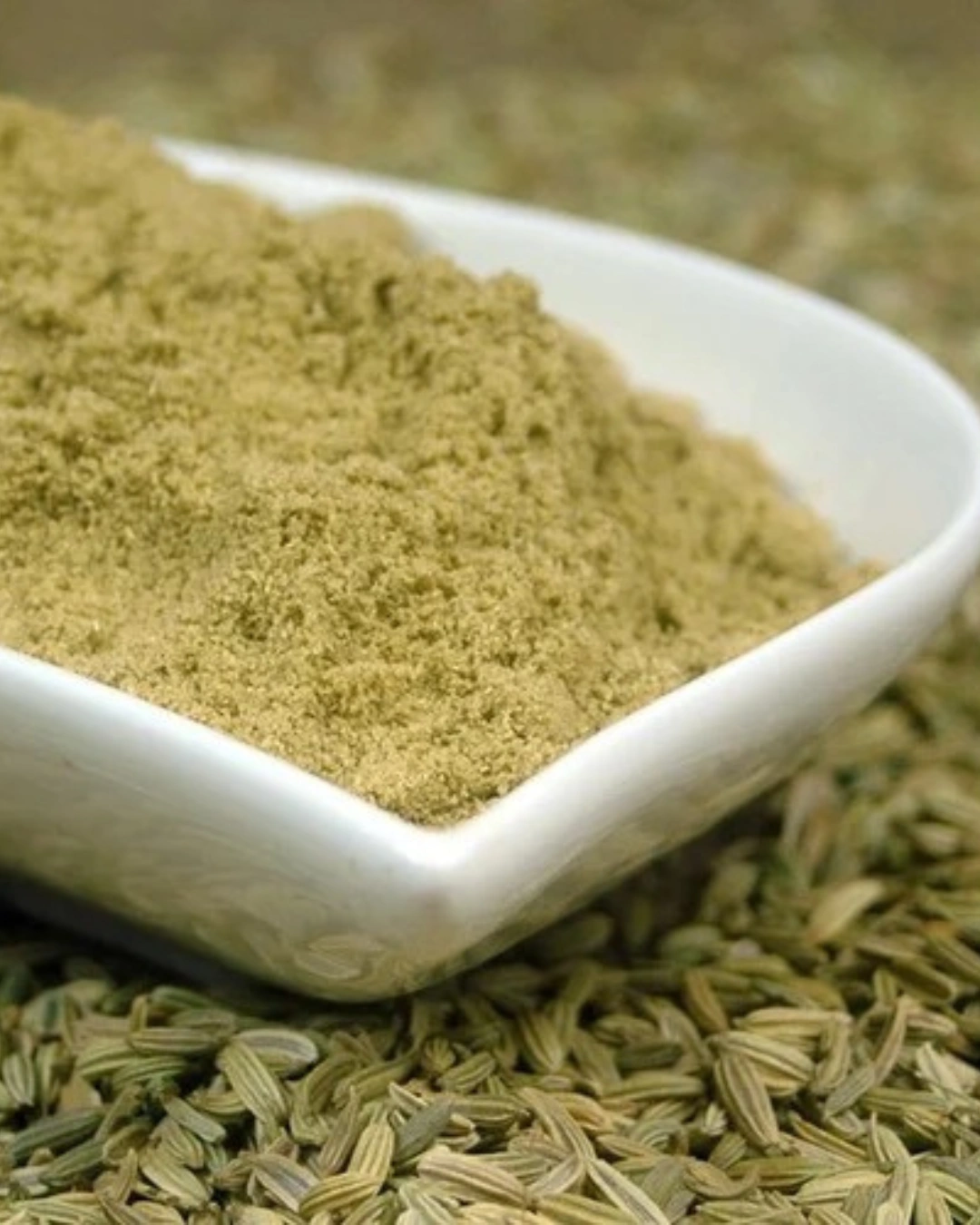 FENNEL POWDER