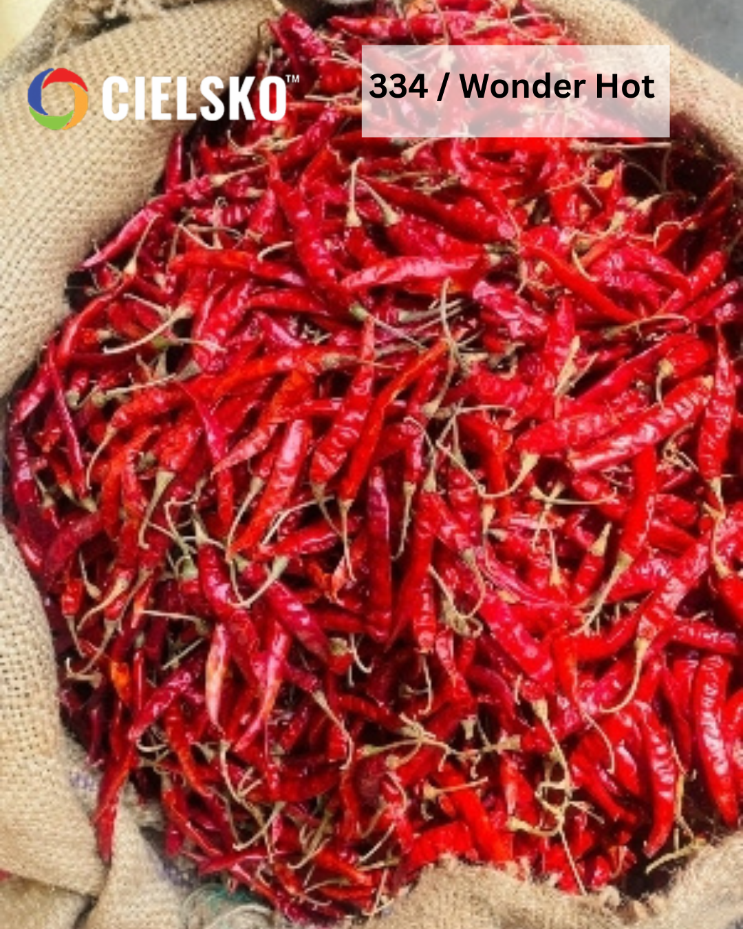 334 / Wonder Hot Dry Red Chilli