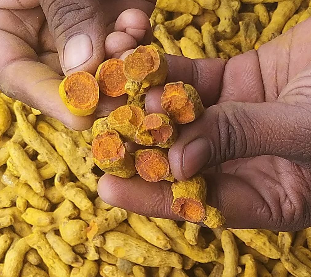 salem whole turmeric finger