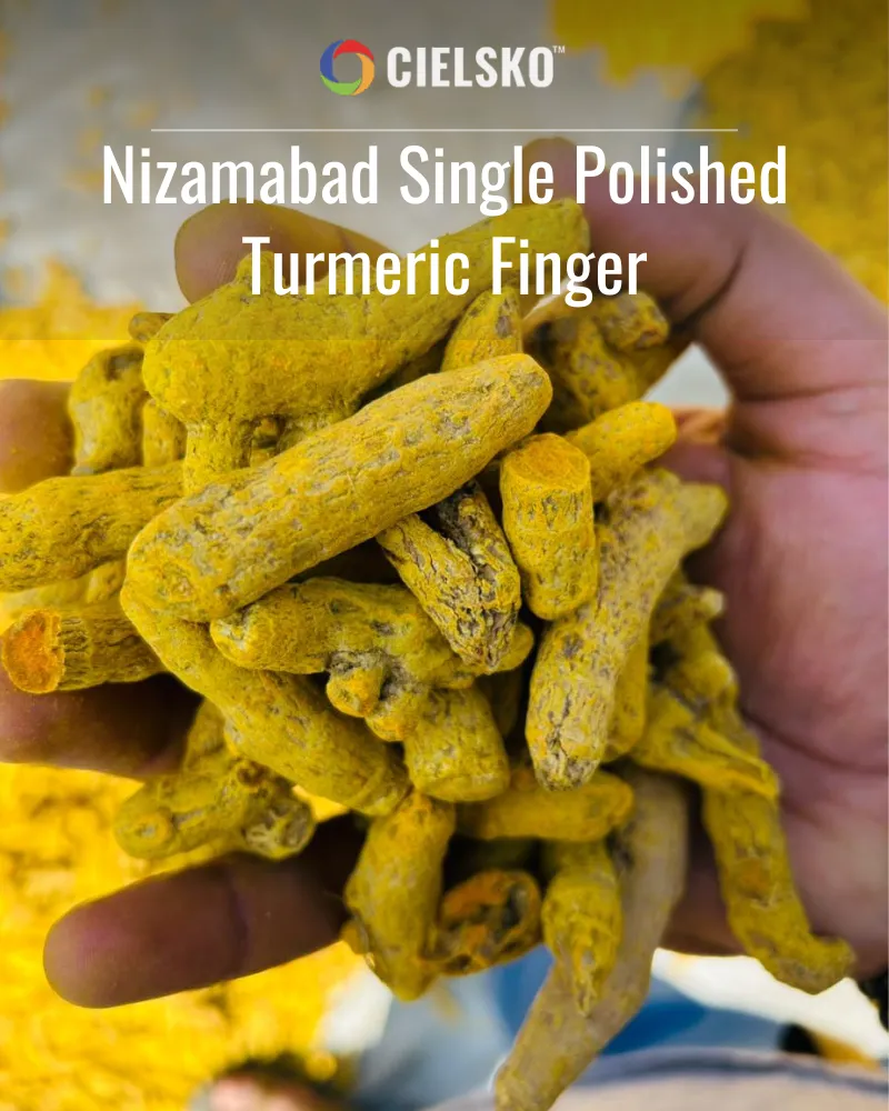 Salem Single Polish Turmeric Bulb 2