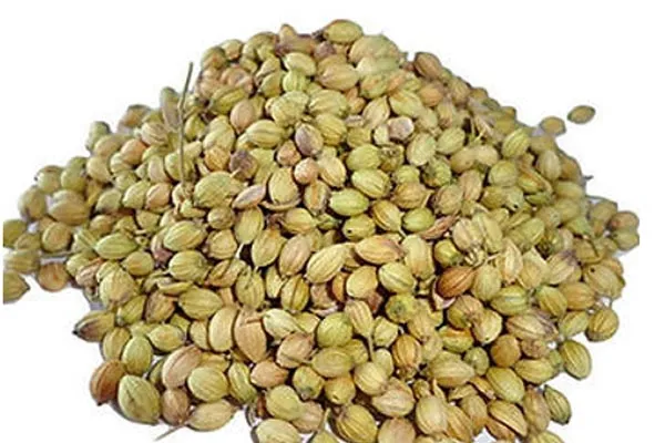 Eagle Coriander Seeds Quality