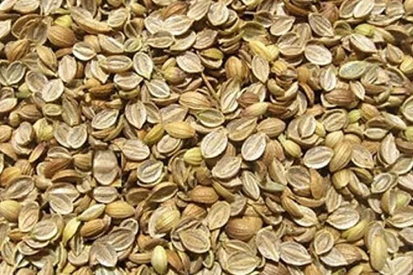 Coriander Split Quality
